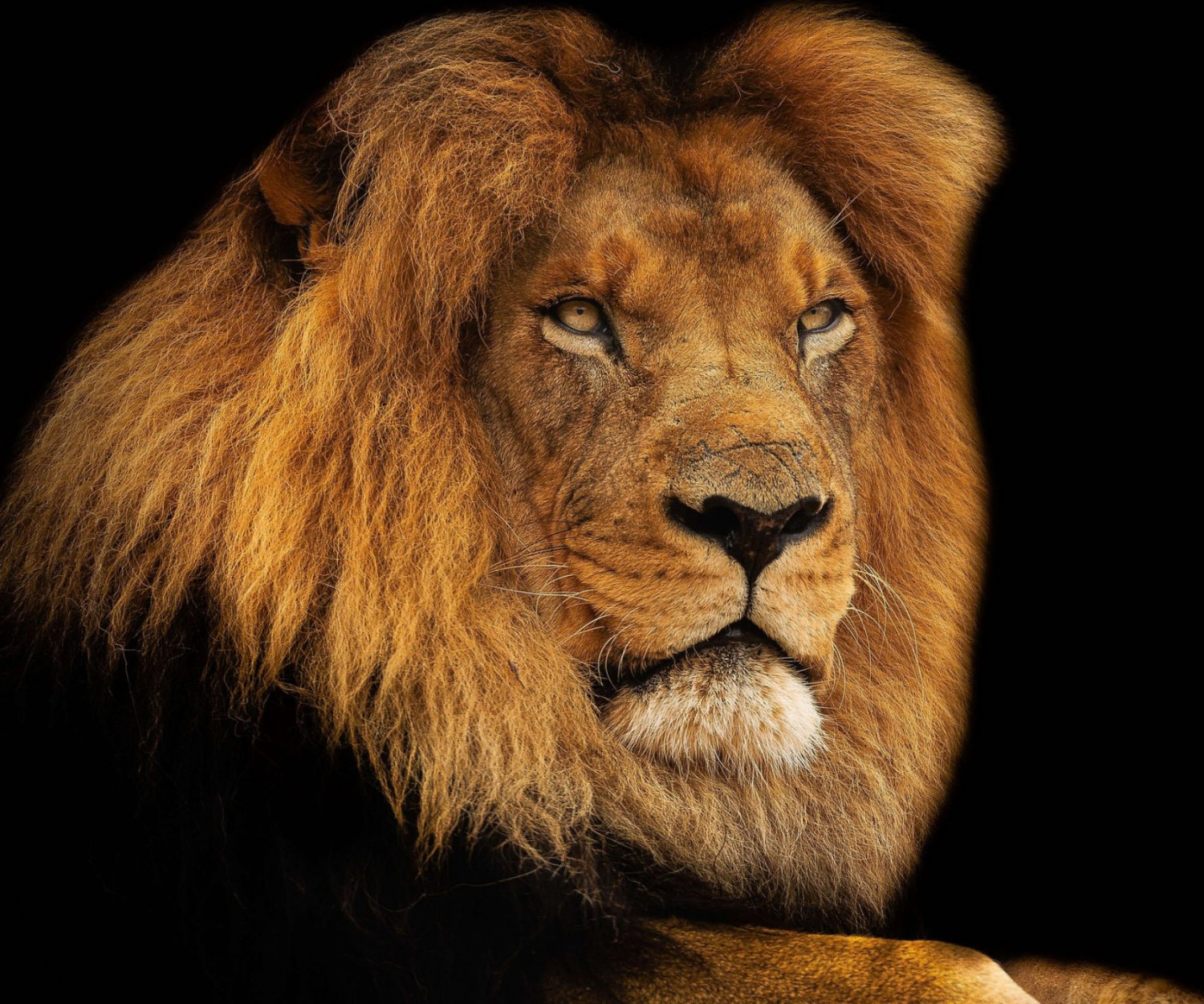 Mental Leader | Jevgenia Purkert | Mentale Stärke | Business Coaching