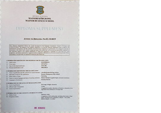 Mental Leader | Diplom Business Management